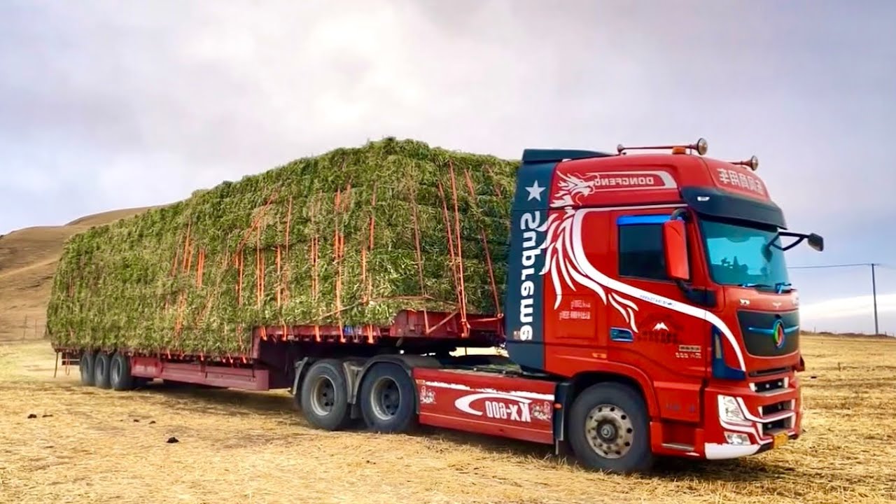 Hauler heavy duty truck transport grass 