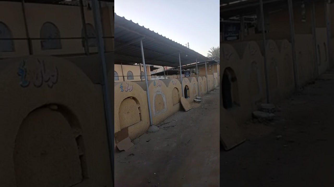 رموها من السطح تجهيز مقبرة محامية المنصورة استعدادا لدفنها