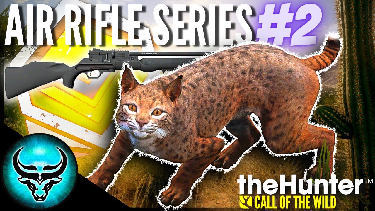 YOU WON'T BELIEVE WHAT HAPPENED.. Diamond Mexican Bobcat with the Air Rifle? Call of the Wild