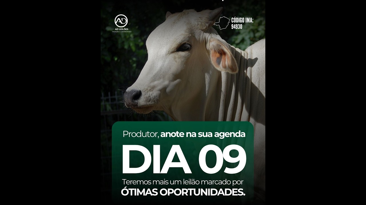 🎥 16º LEILÃO DA AD LEILÕES  | 09/03 às 20:00H | Transmissão AO VIVO