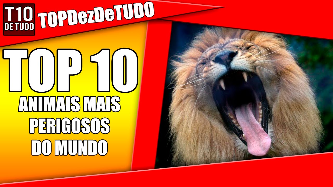 OS ANIMAIS MAIS PERIGOSOS DO MUNDO