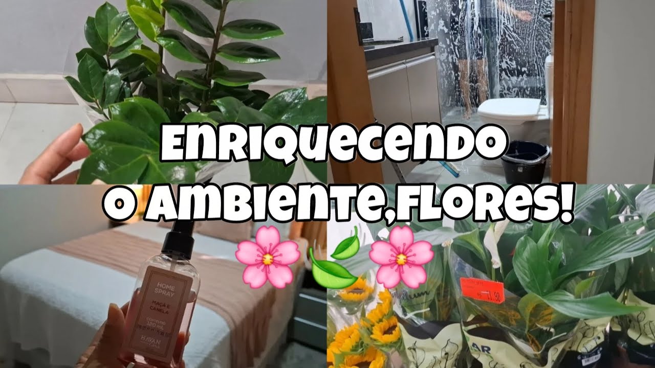 LIMPEZA NO QUARTO//LAVEI BANHEIRO✨️PLANTINHAS PARA CASA🥰🍃
