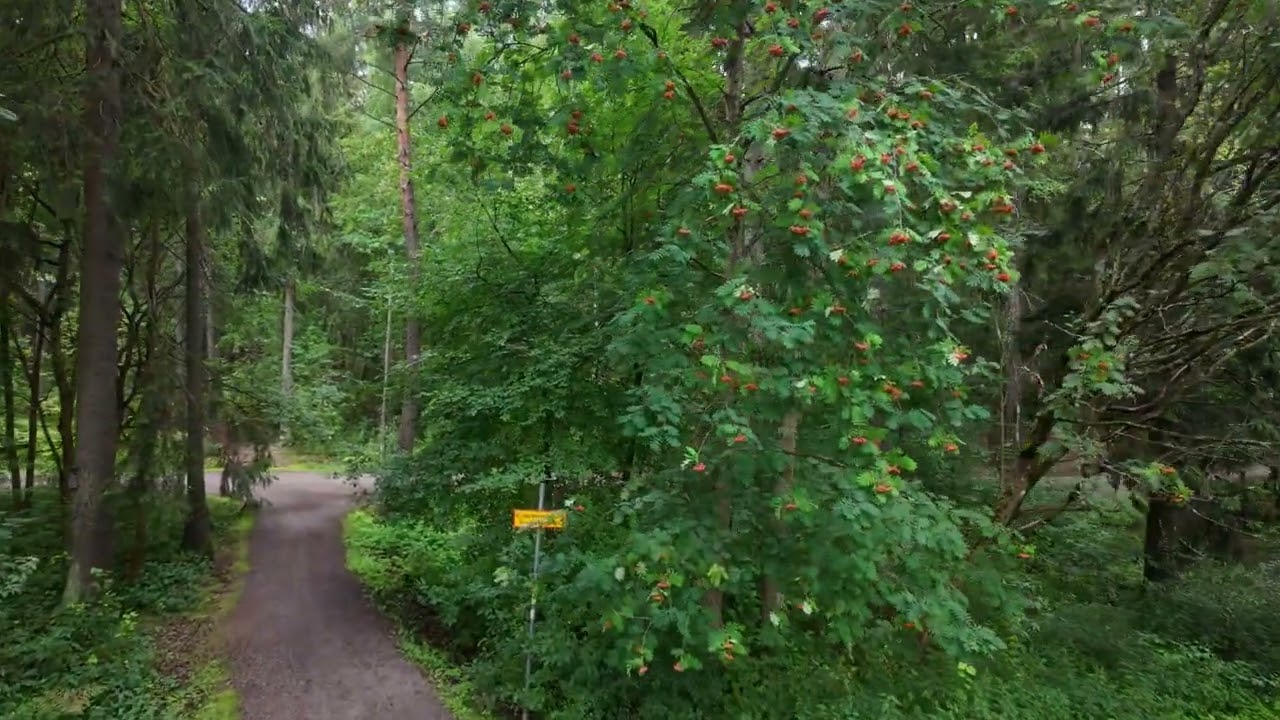 Pasila - Munkkiniemi, Helsinki 2.8.2024
