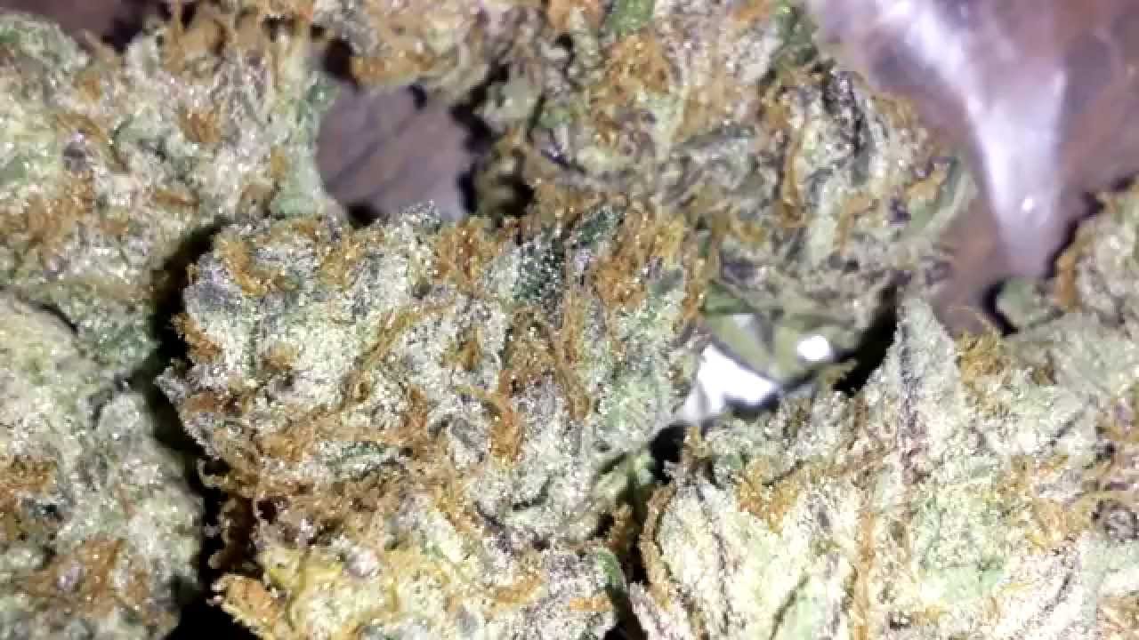 Kushes & More-  HD Weed Porn