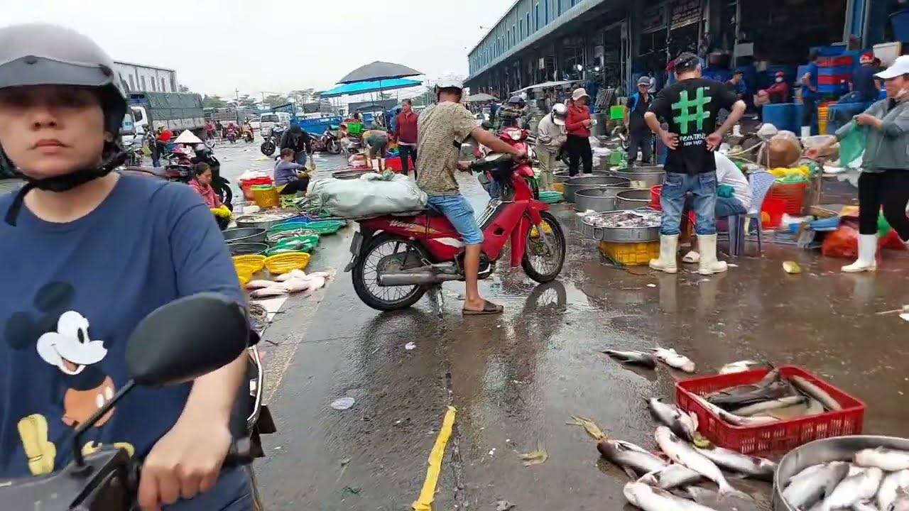 SÁNG MÙNG 10 GIÁ CÁ TÔM MỰC TẠI CHỢ ĐẦU MỐI BÌNH ĐIỀN