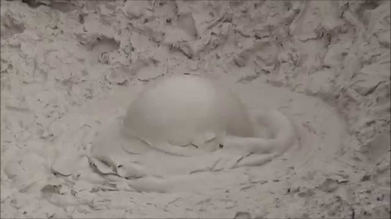 Artists Paintpots (HD)