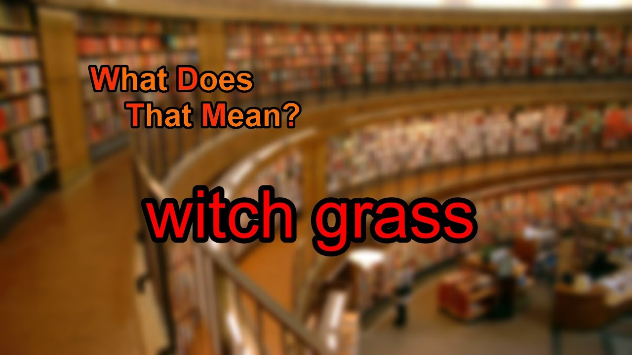 What does witch grass mean?