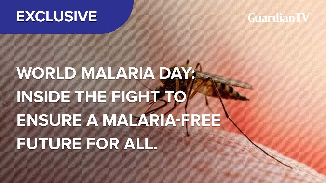 World Malaria Day 2025: Inside the fight to ensure a malaria-free future for all