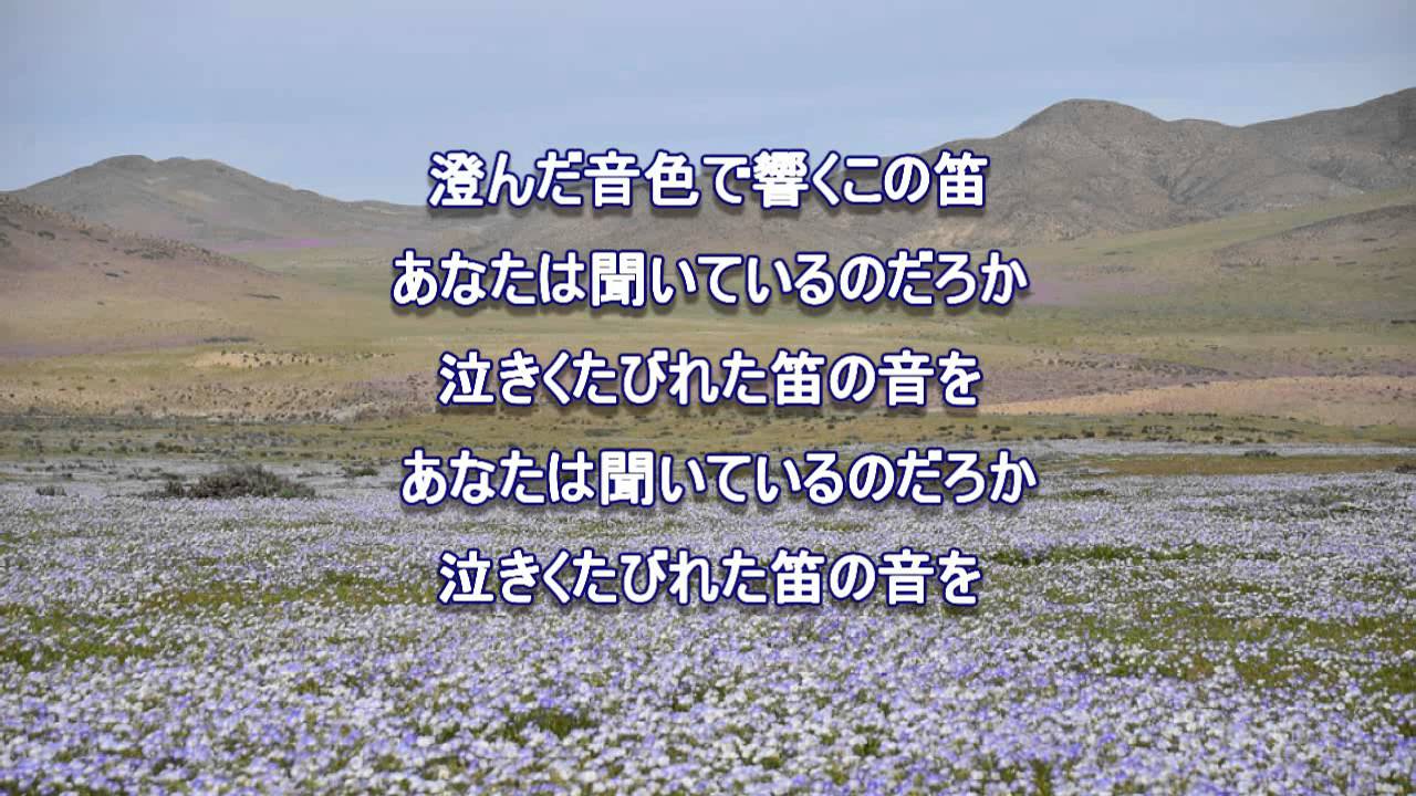 灰色の瞳【cover】そら＆ひろ