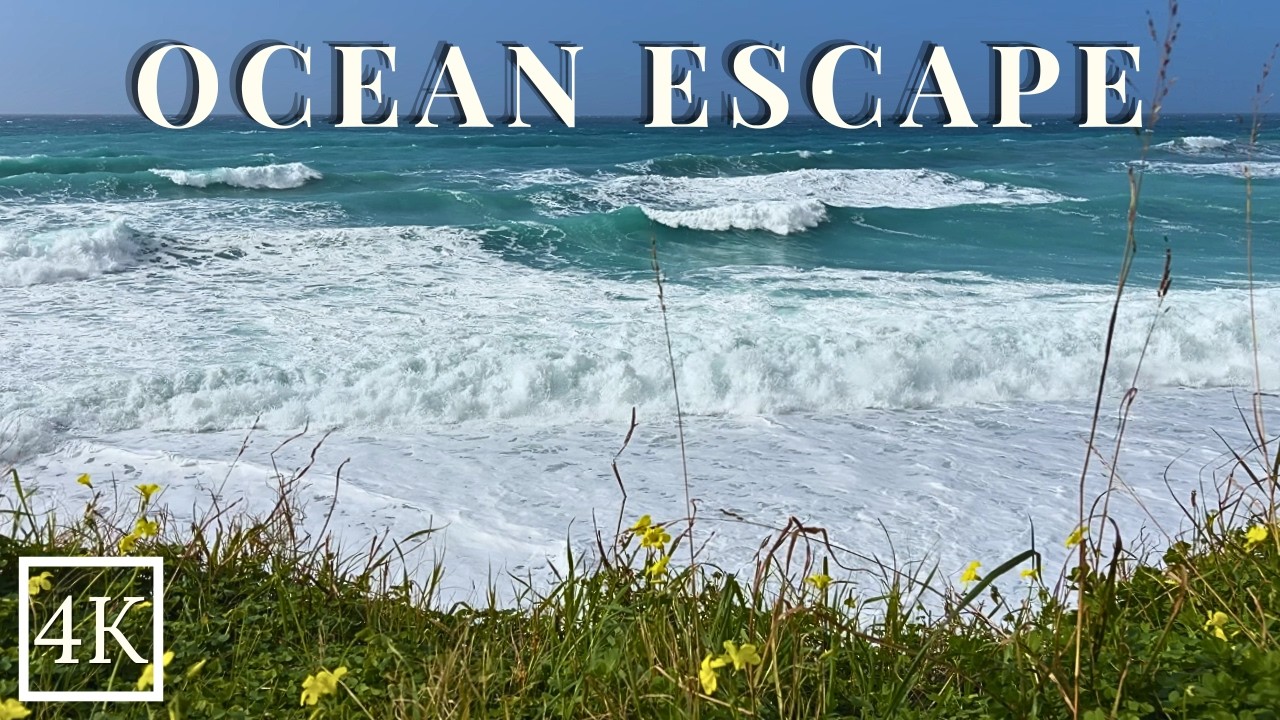 Relaxing Ocean Waves Sounds - 2 Hours Relaxing Sea Ambience for Sleep, Study & Relaxation (No Music)