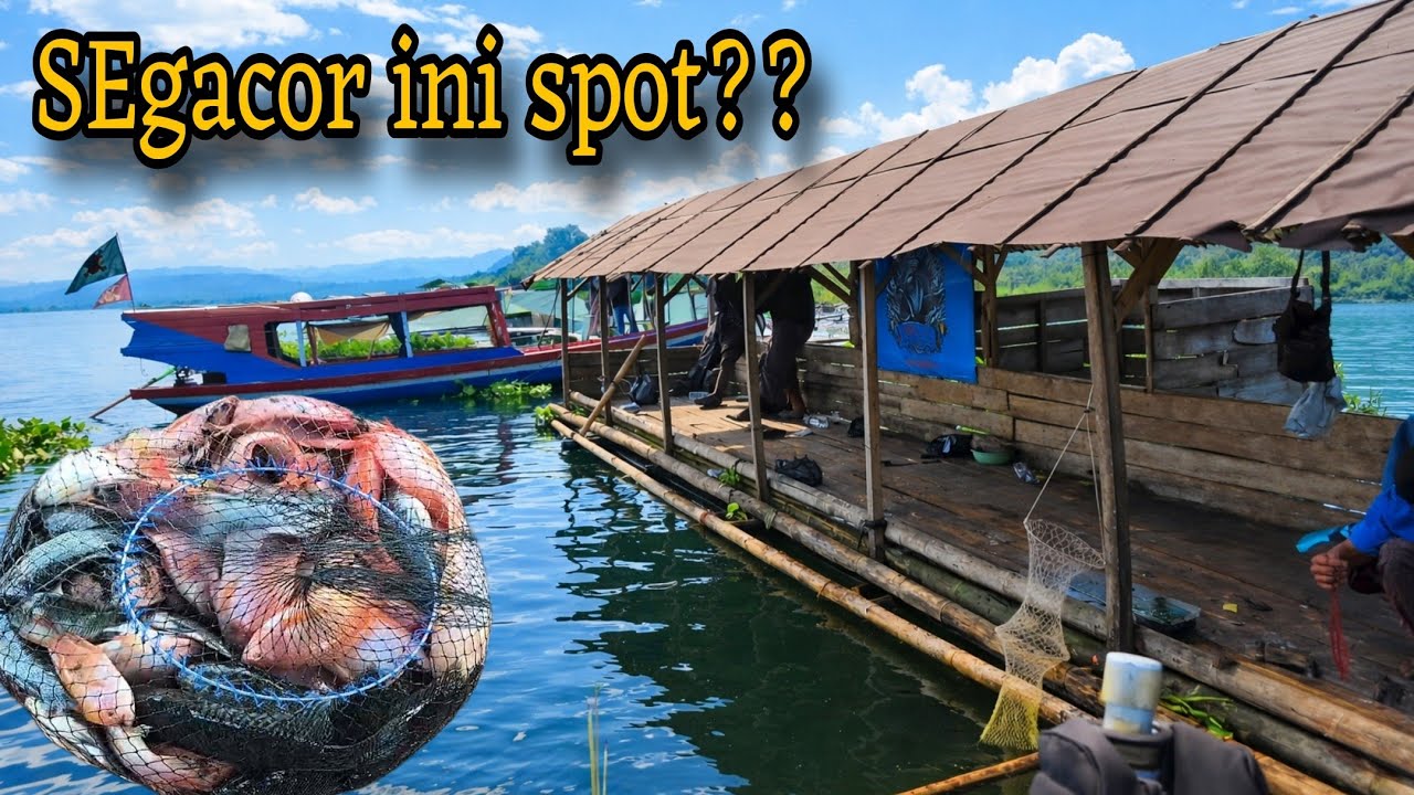 NGERI😱‼️MANCING DI SPOT INI HASIL NYA LUAR BIASA‼️ MANCING CIRATA TERBARU