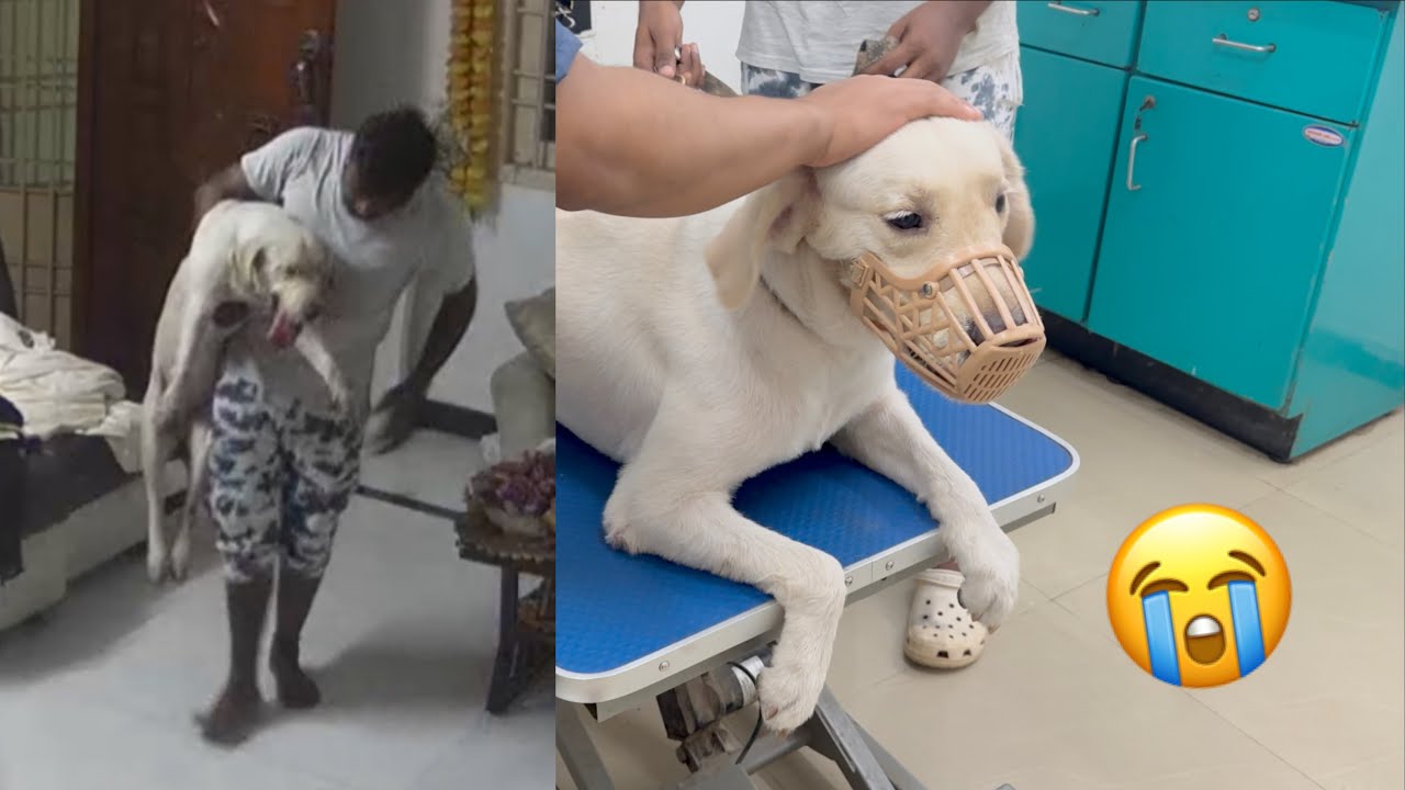 Febbie’s critical stage 💔 Sad CCTV footage 😭