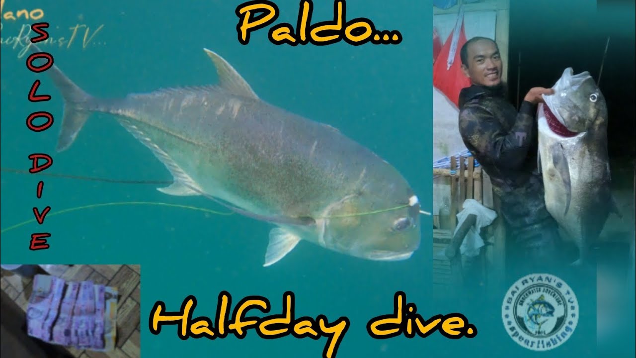 Ep27.Halfday-paldo. #hanapbuhaynamarangal #manomano #aetheric 