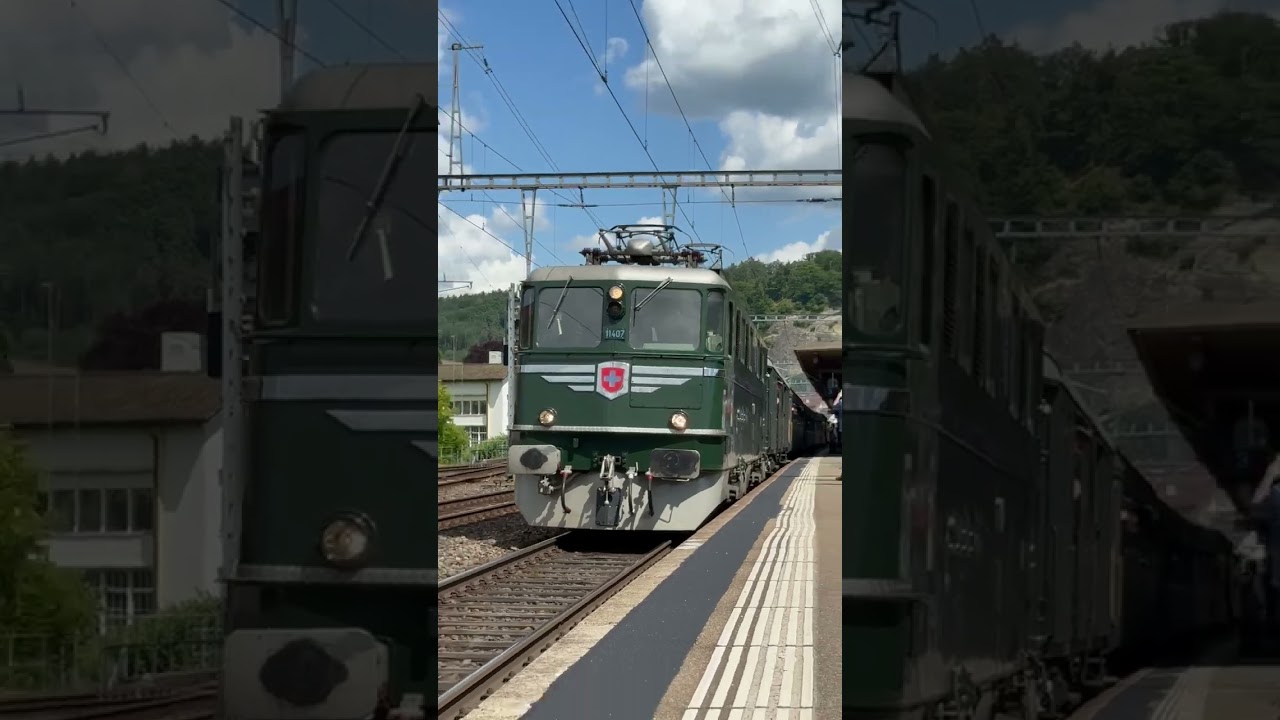 Verein Mikado mit der Ae 6/6, Ew1, Ew2, Bcm und Gep&auml;ck D, im  Anschlus die Dampflok 141.R.1244