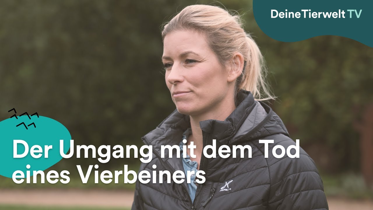 Der Umgang mit dem Tod eines Vierbeiners: Annica Hansen zu Besuch bei der Rosengarten Tierbestattung