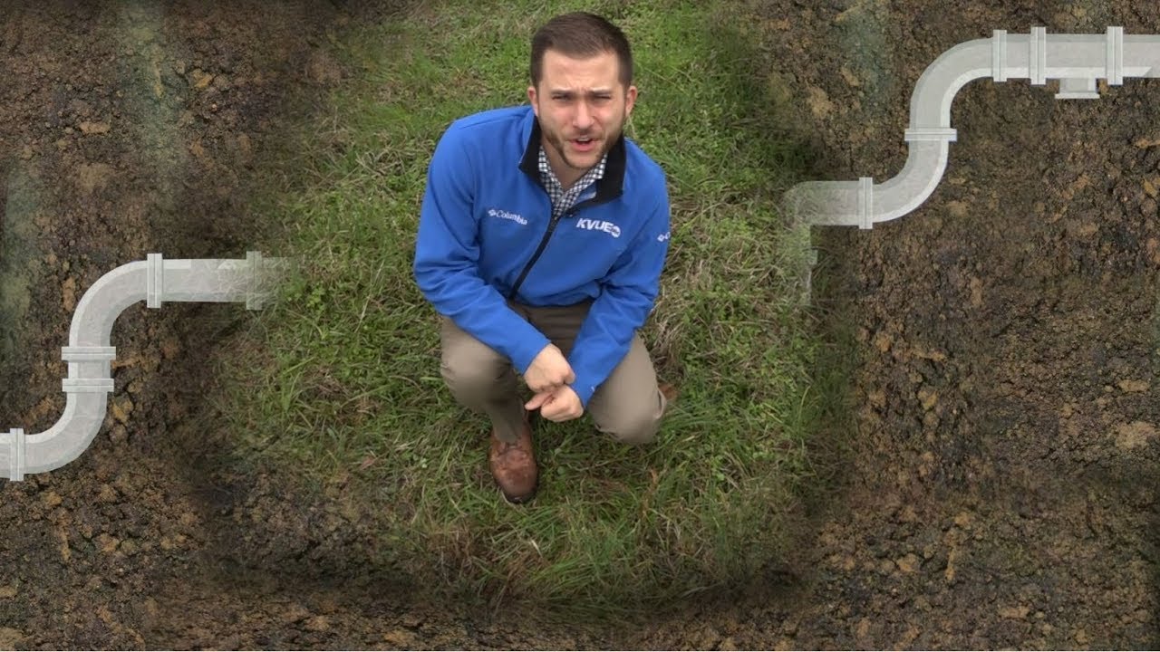 Zebra mussels in 60 seconds -- where did they come from and why are they an issue?