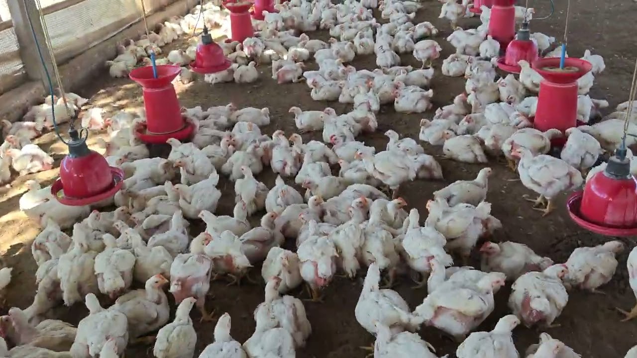 Day 32 🤔