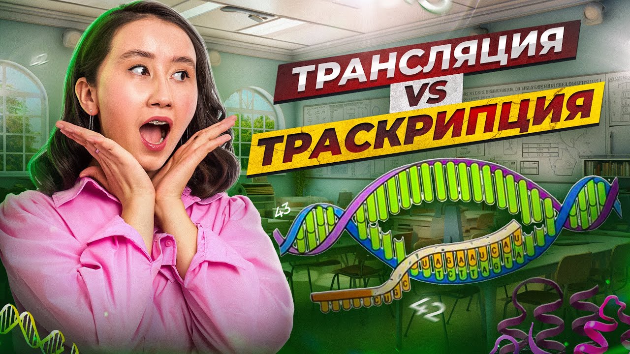 Трансляция vs Траскрипция | ҰБТ Биология 2026