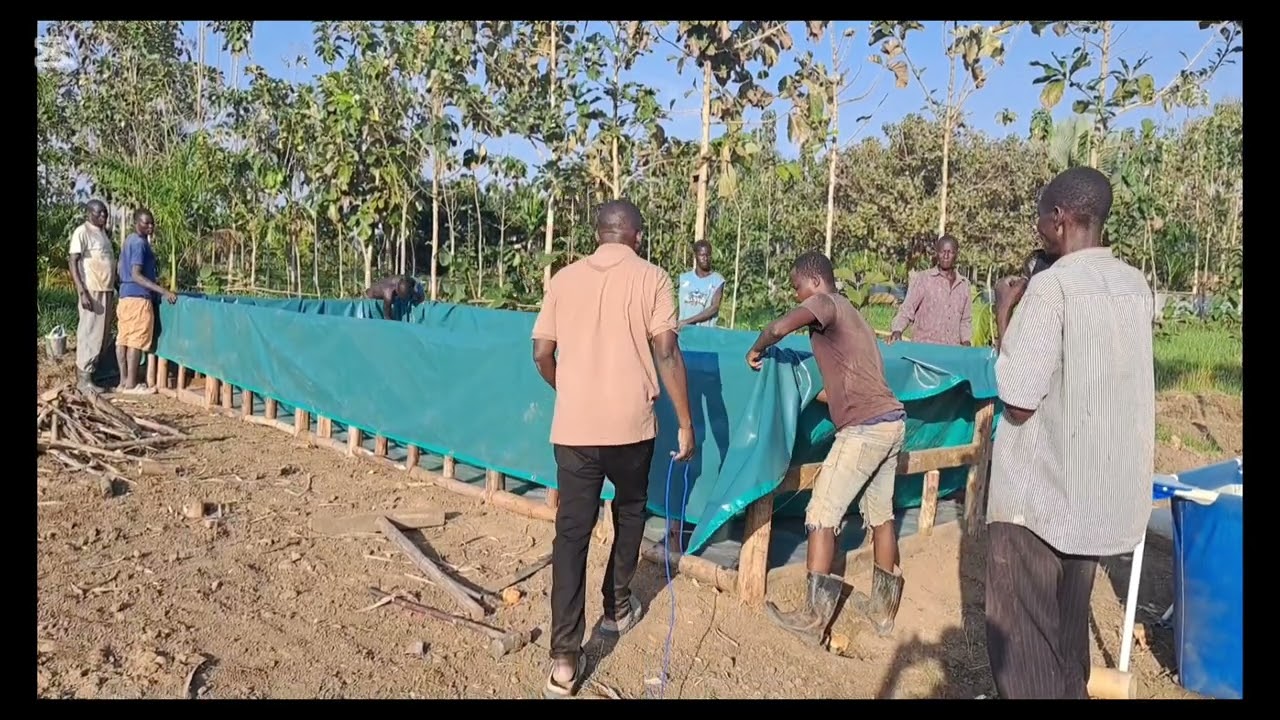 How to build the cheapest Fish pond from start to finish