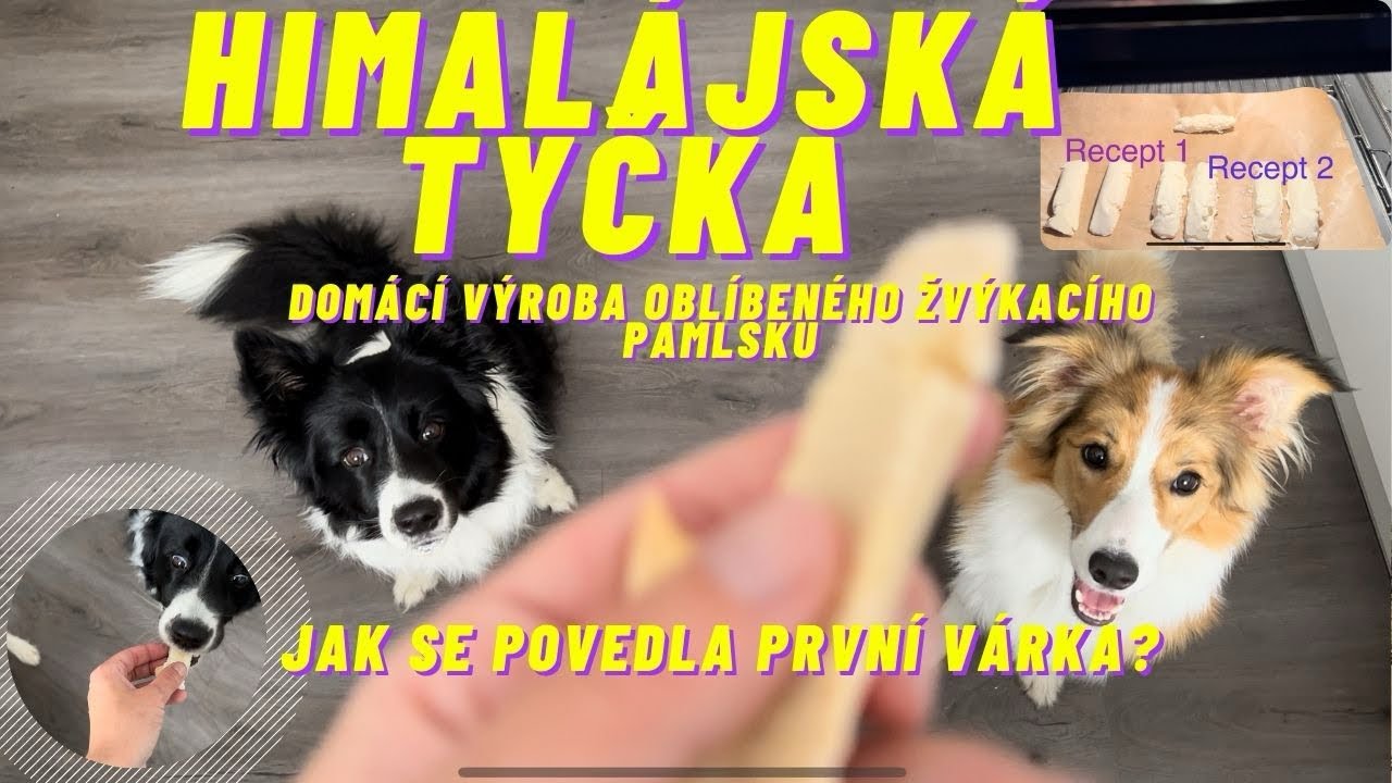 HIMALÁJSKÁ TYČKA pamlsek pro psa - RECEPT