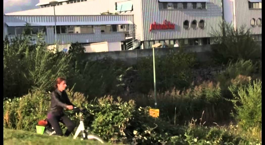 Wedel in bewegten Bildern 2013