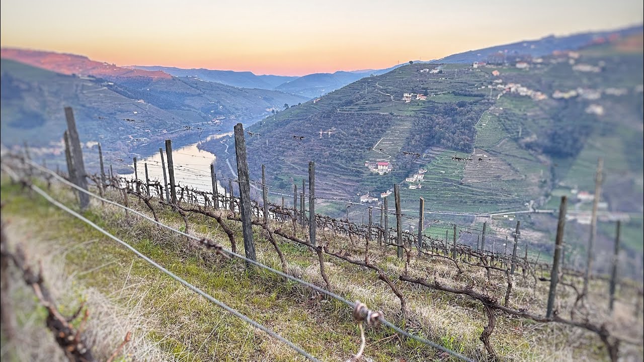 #7 le Portugal 🇵🇹 Le Nord Et Porto