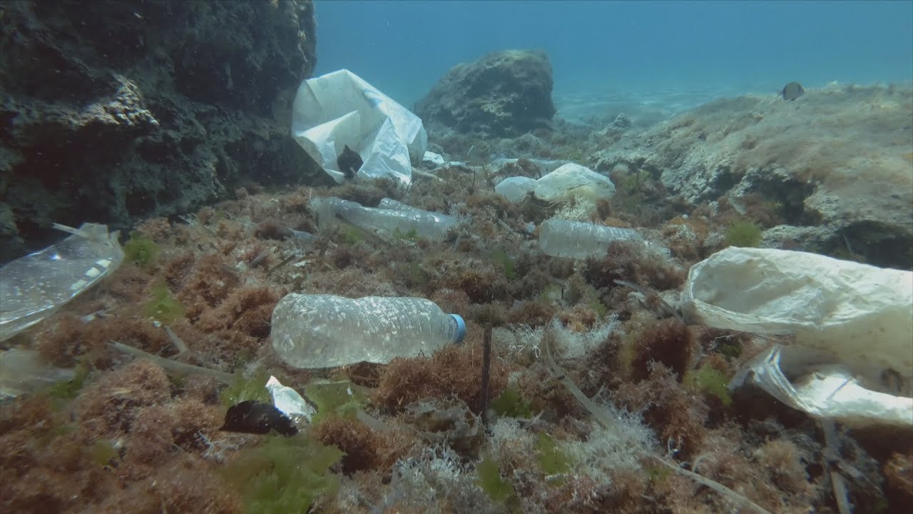 La semaine verte | Plastique : L'urgence d'agir