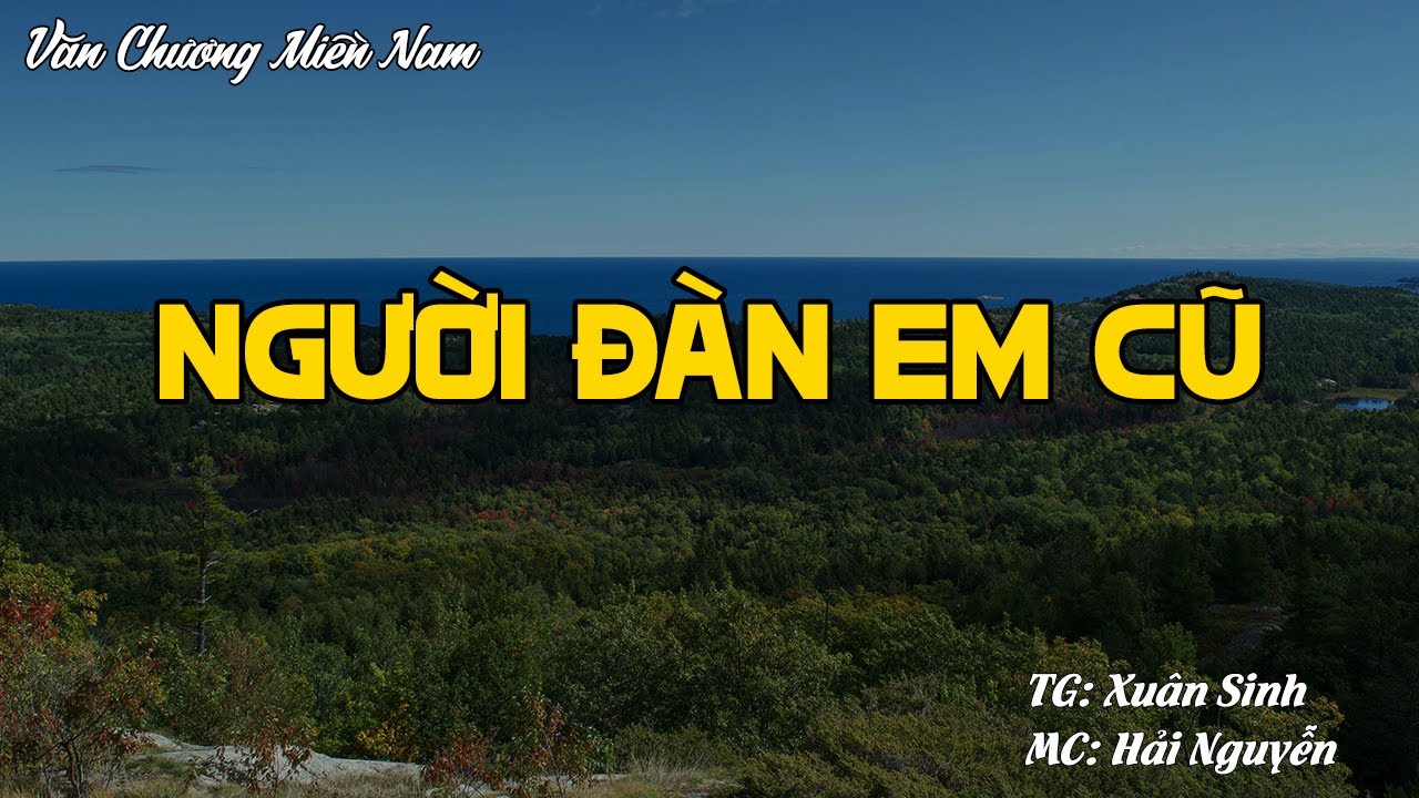 NGƯỜI ĐÀN EM CŨ | Hồi Ký Miền Nam VN