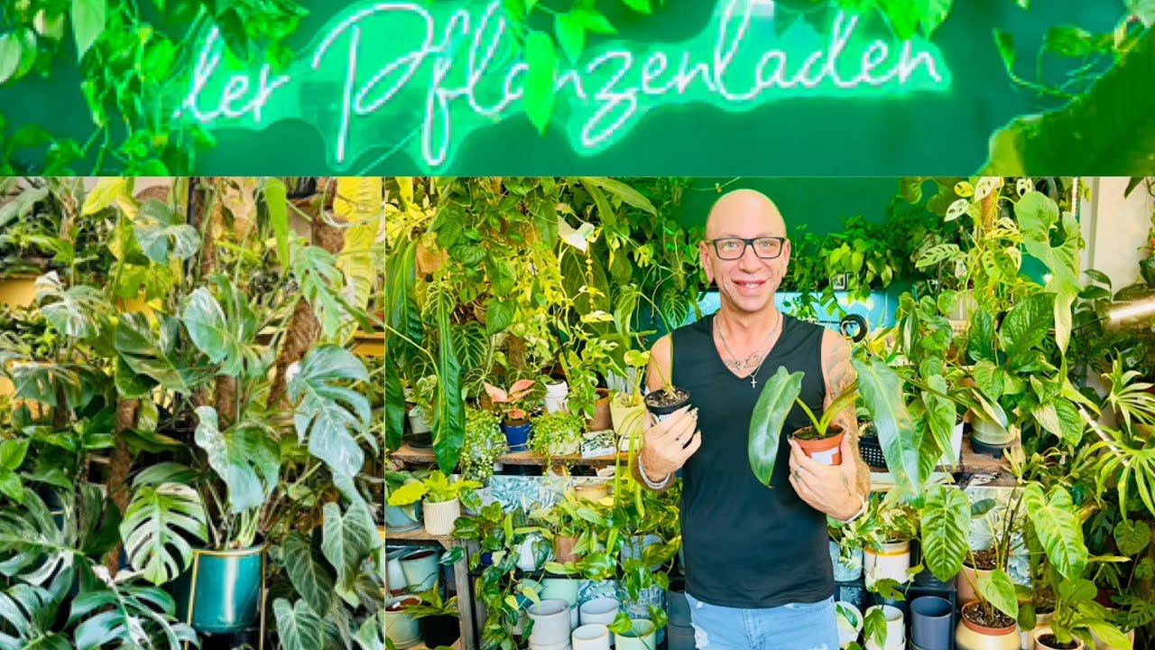 Der Pflanzenladen in Dresden |SHOP WITH ME|