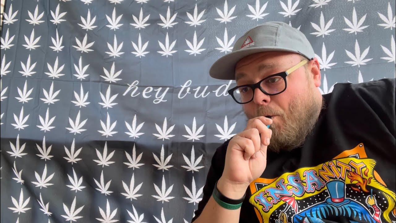 INSA Dart Pod Review - 5 Strains Reviewed