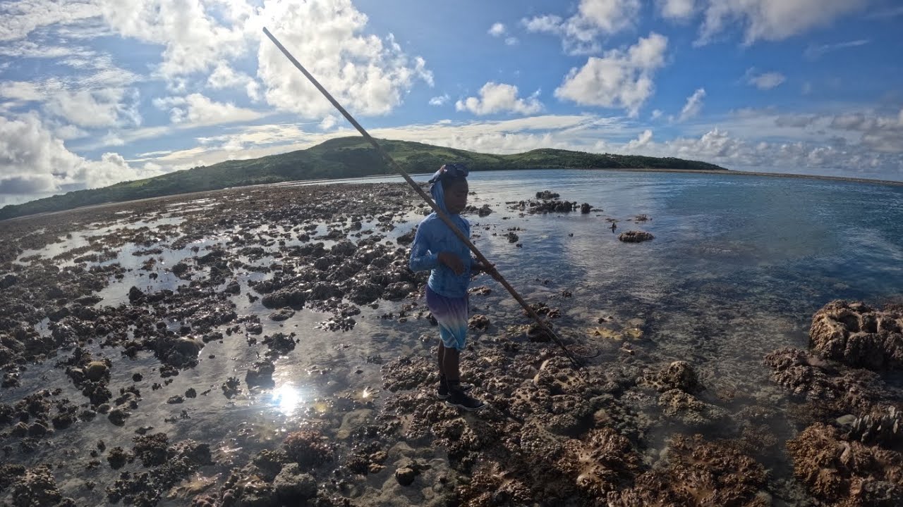 REEF WALKING LOOKING FOR SQUID ( Catch clean cook)
