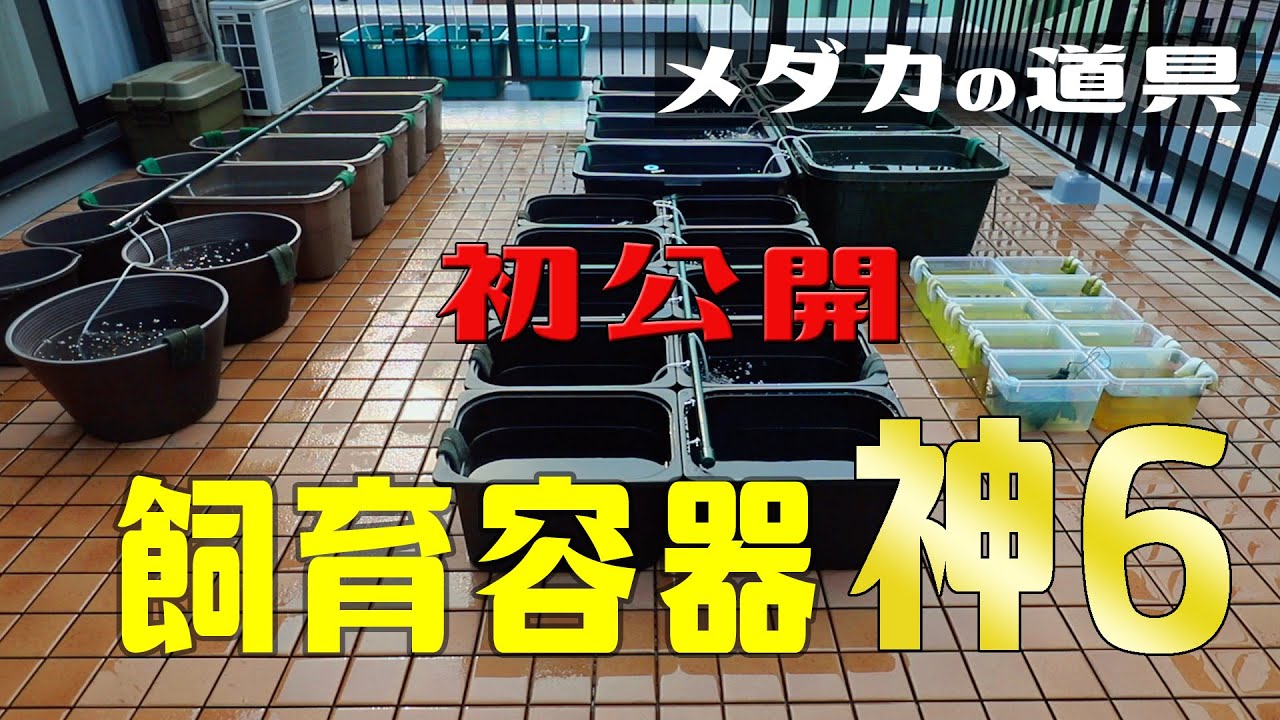 【メダカの飼育容器】我が家のメダカ飼育容器をいろいろご紹介します！