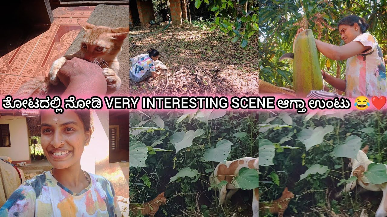ತೋಟದಲ್ಲಿ ನೋಡಿ intersting Scene ಆಗ್ತಾ ಉಂಟು😂