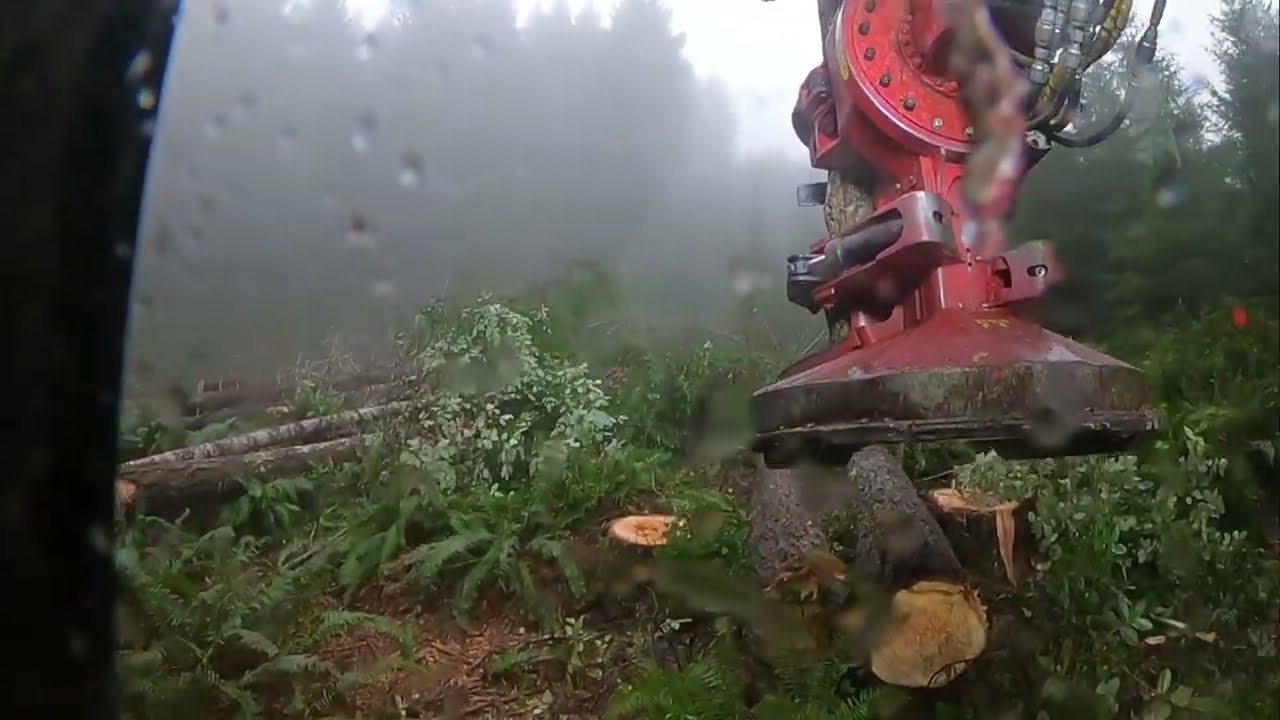 Tigercat LX830E In the plantation wood PT2 | GoPro Hero 8