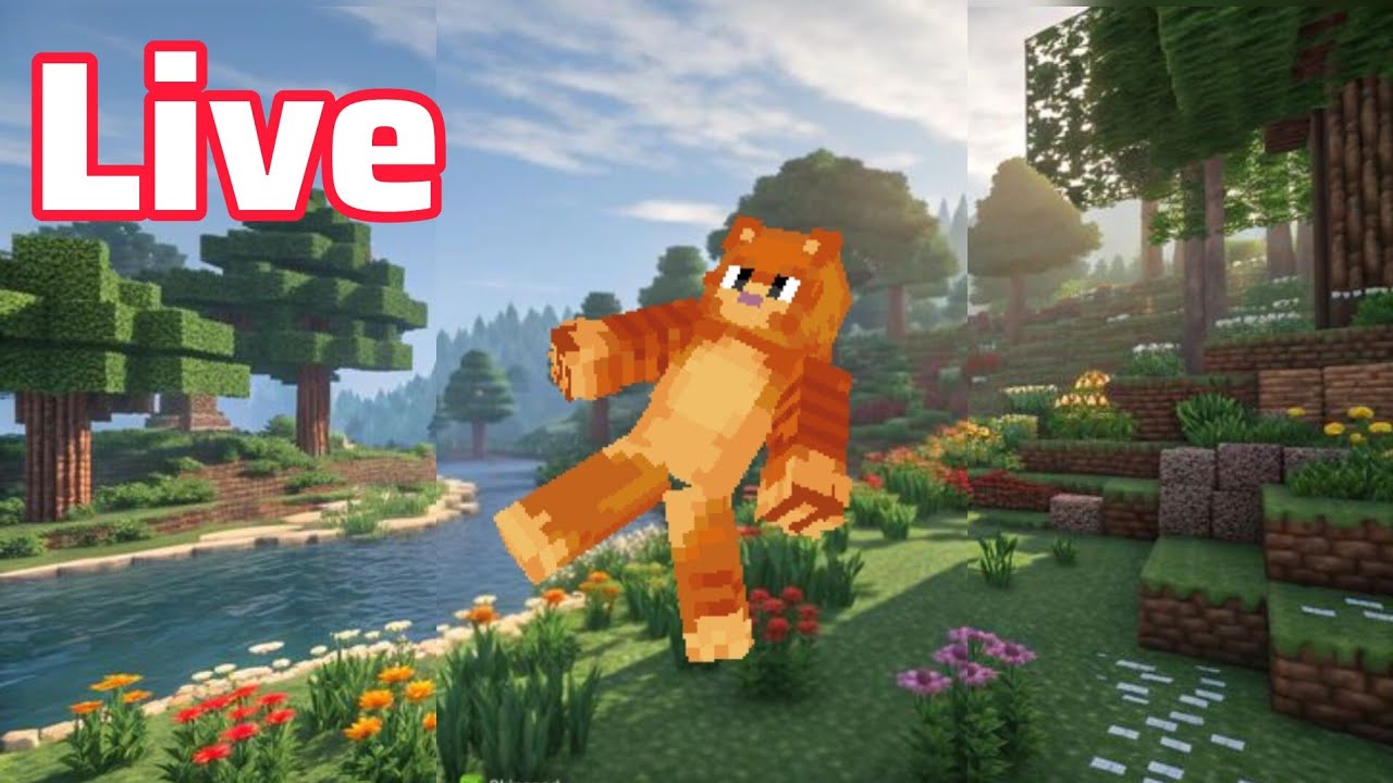LIVE, DESAFIOS COM INSCRITOS!