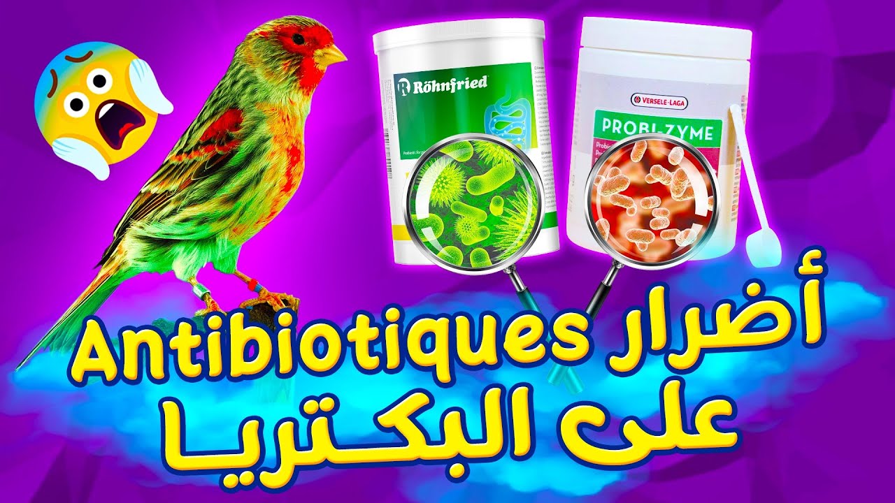 البكثيريا النافعة و المضادات الحيوية،، دورها و اعراض نقصها بالإضافة للمواد المتواجدة فيها طبيعيا