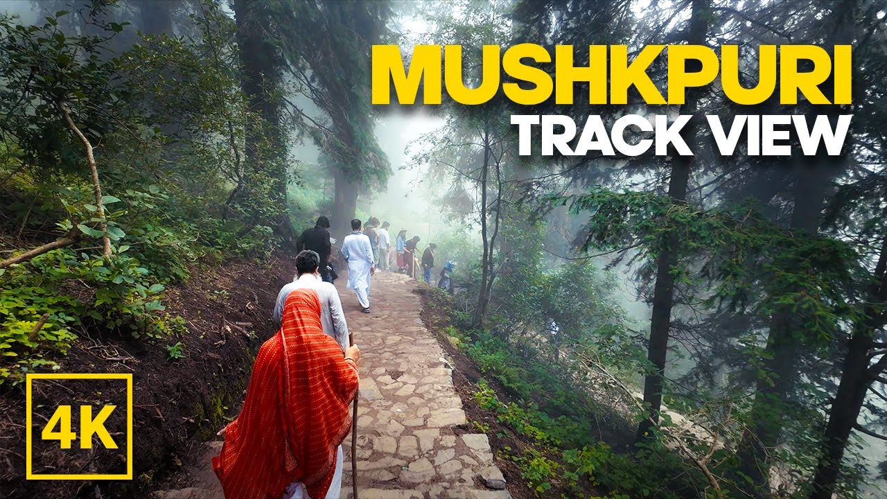 Mushkpuri Track Nathia Gali | Mushkpuri Track View | Ayubia Walking Tour
