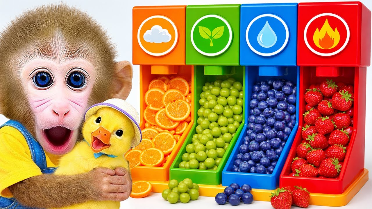 Mono Tata Explora La Máquina Expendedora De Frutas Coloridas De Los 4 Elementos Y Cuida A Un Patito