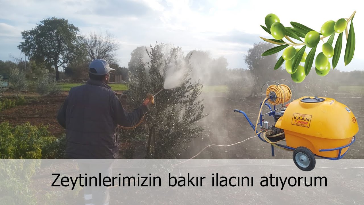 Kaan benzinli ilaç motorumla zeytinlerime bakır ilacı attım