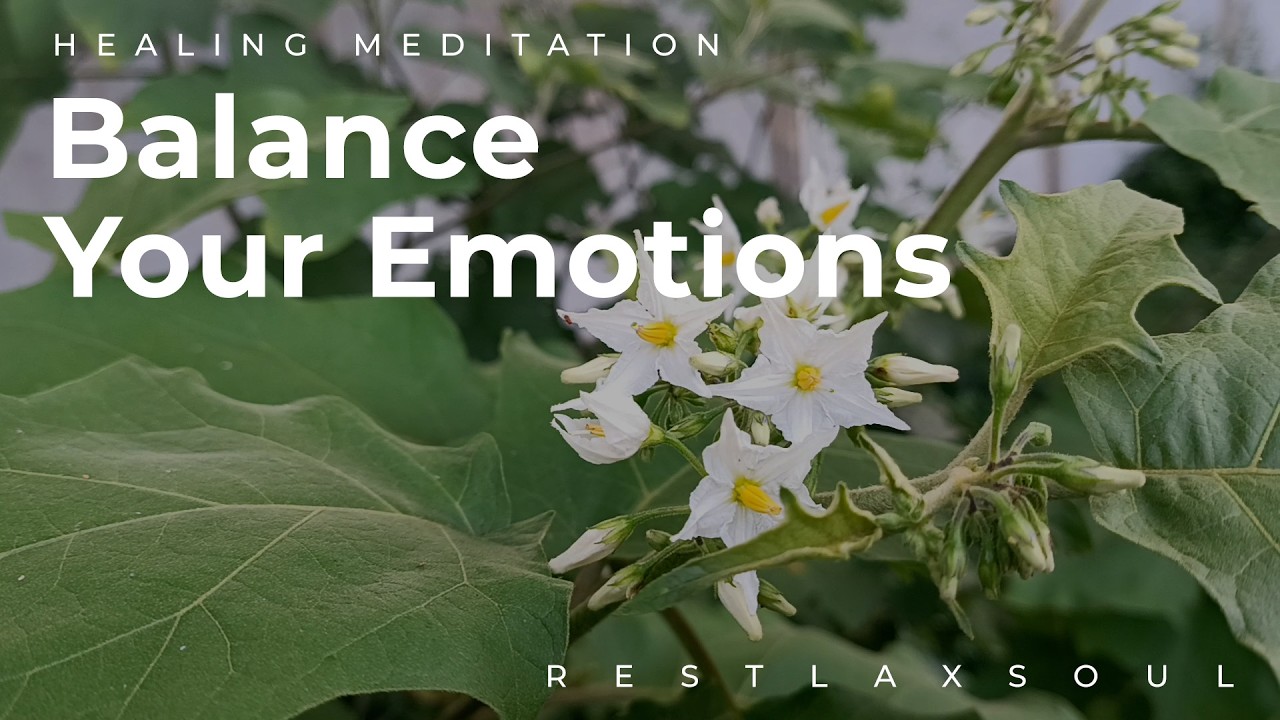 Healing Meditation for BalanceYour Emotions