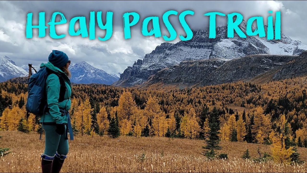 Healy Pass Trail Hike [How to get to Healy Pass]
