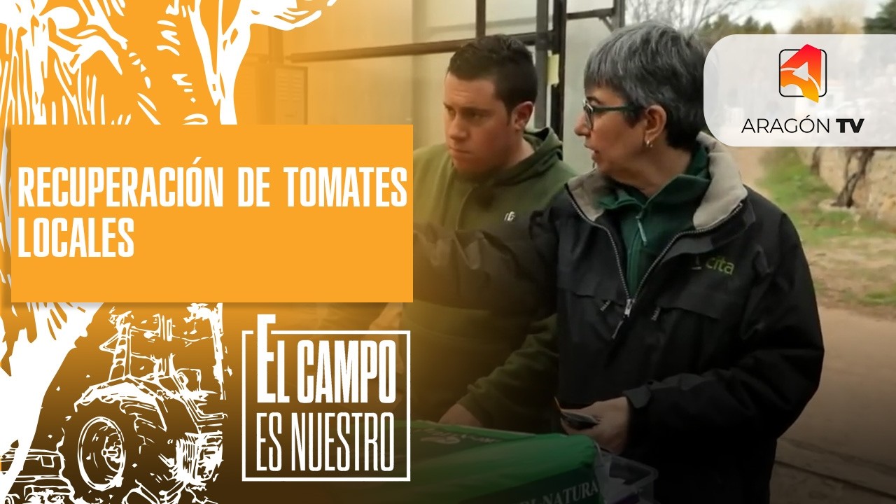 Recuperación de variedades locales de tomate