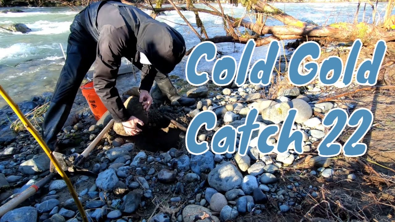 Cold Gold Catch 22