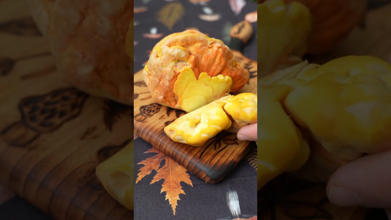O rețetă rapida si delicioasă  pentru a găti puiul pădurii dar nu numai  #boletus #ciuperci #nature