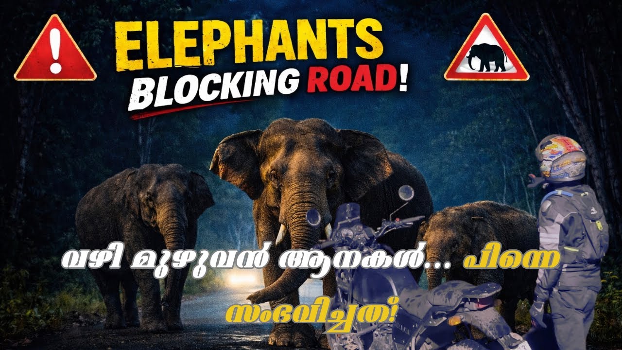 ഫോറസ്റ്റ് റോഡിലെ ഏറ്റവും ഭീകരമായ നിമിഷം ! Travelogues of vaisakh 