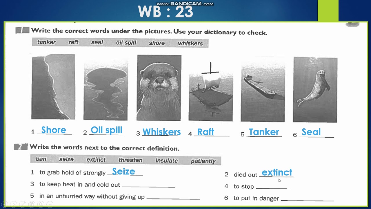 English World 7 / Unit 3 / WB ( 22- 23 )