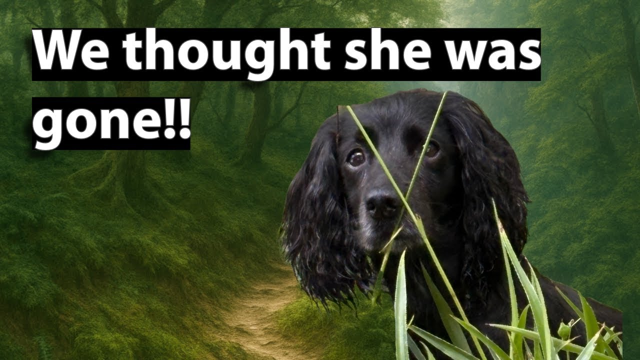 Secret COVENANTER TRAIL Nearly Ended In Disaster!