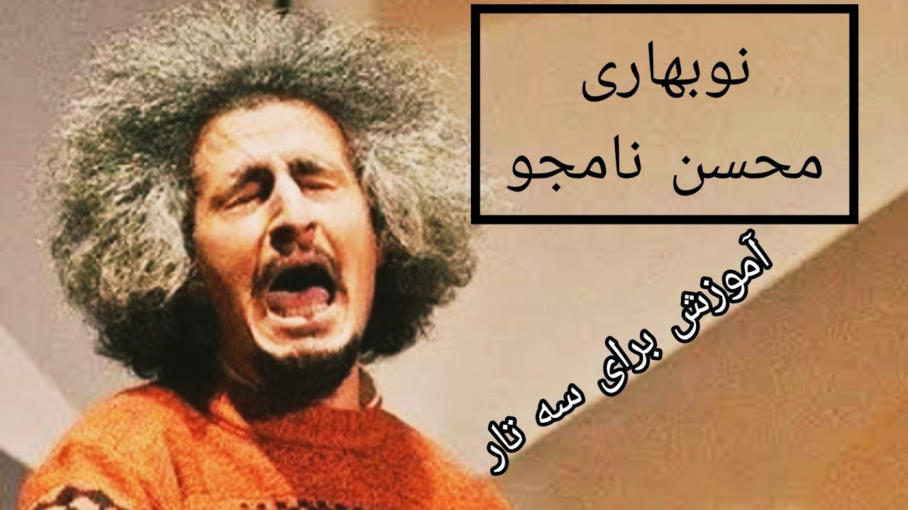 چون است حال بستان ای باد نوبهاری         (آموزش قطعه نوبهاری از محسن نامجو برای سه تار)