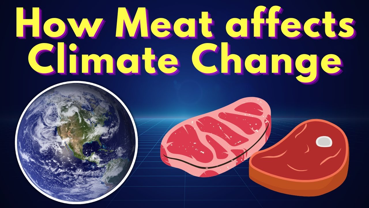 How meat affects the climate change? | Global Warming | Is Eating meat killing the planet?