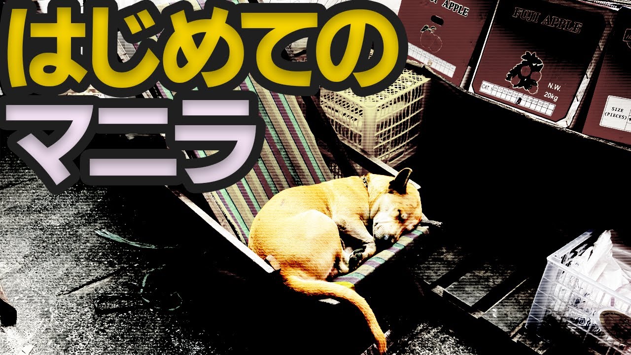 警戒しまくり マニラ初体験物語【はじめてのフィリピン】